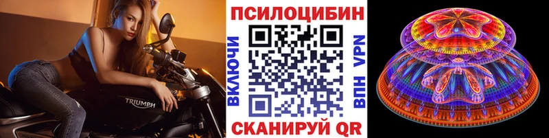 Галлюциногенные грибы мицелий  Жиздра 